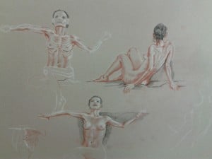 cours de morphologie et anatomie artistique