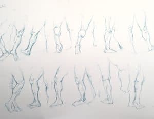 cours de morphologie