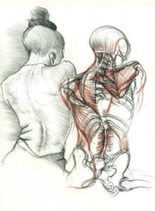 cours de techniques du dessin stage de morphologie