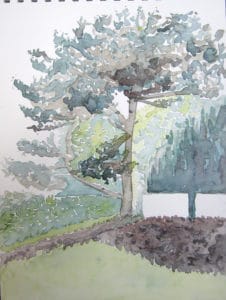 arbre aquarelle-Paris-arbre-carnet de voyage