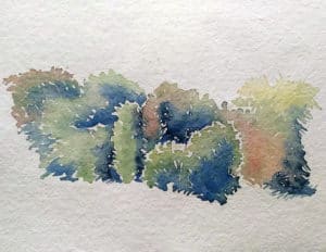 Arbres et végétation réalisé en cours d'aquarelle