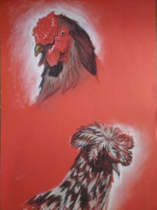 Stage de dessin animalier Muséum