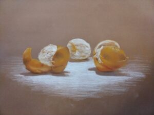 stage dessin paris