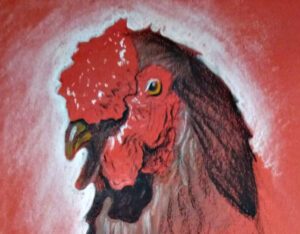stage de dessin animaux paris