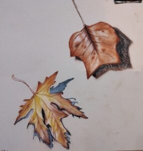 Cours de dessin paris