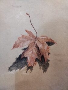 Cours de dessin paris