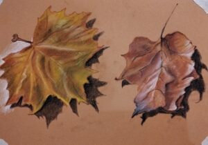 Cours de dessin paris