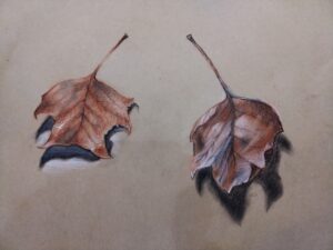 Cours de dessin paris