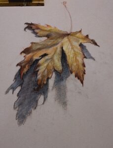 Cours de dessin paris