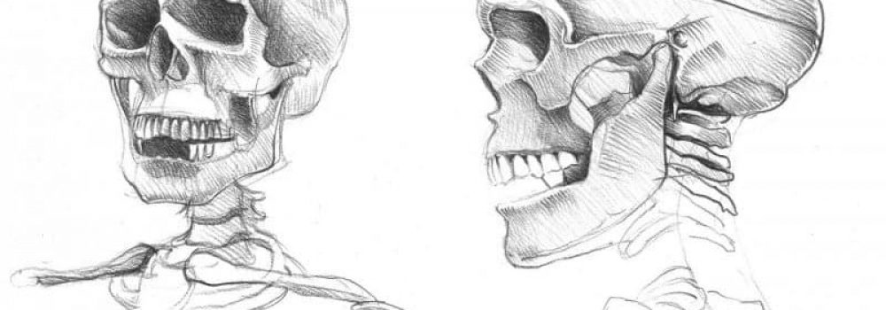 les valeurs au crayon trame morphologie les valeurs au crayon
